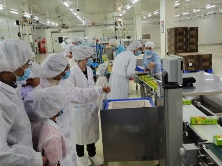 赏金船长(中国游)官方网站