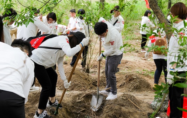 赏金船长(中国游)官方网站